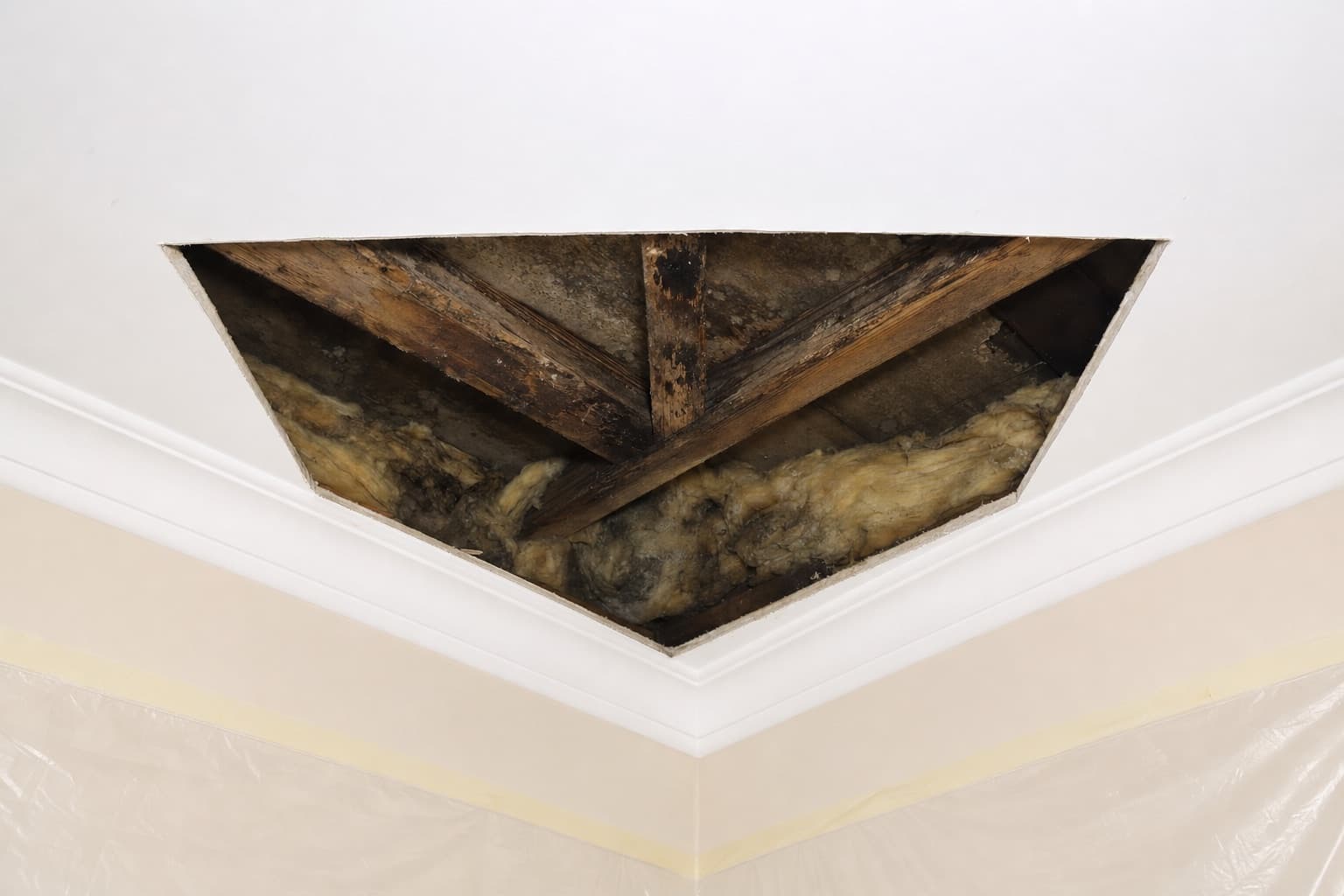 Le même angle de plafond ouvert, une section de plaque retirée exposant des bois humides et l’isolant
